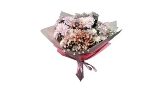 ქრიზანთემების ვარდისფერი თიგული