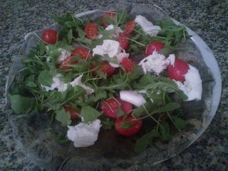 Schiacciata primavera normale