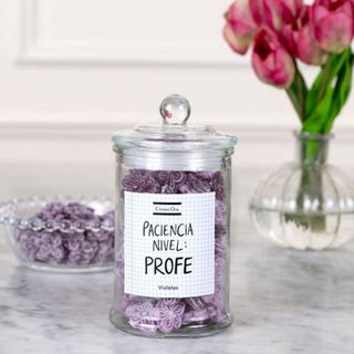 Tarro De Violetas Especial Profesores
