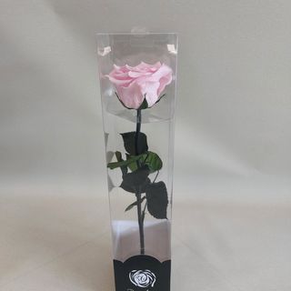 Rosa stabilizzata con gambo 