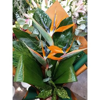 Buket sa tri strelicijuma