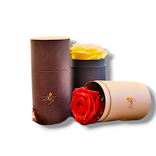 Soul tube colore cioccolato - regala emozioni