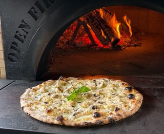 Римська Поло