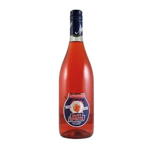 enjoy spritz aperitivo italiano