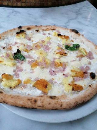 Fiocco 