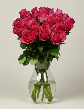 Троянда сорту Мадам Церіз 50см