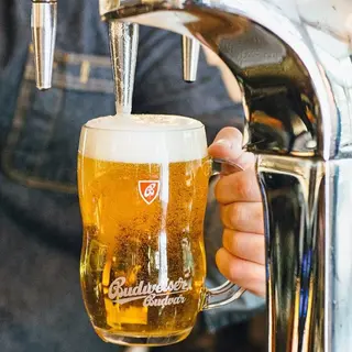Budějovicky Budvar, Budweiser Budvar, 12, Pilsner Bohemian (чехія), 1л