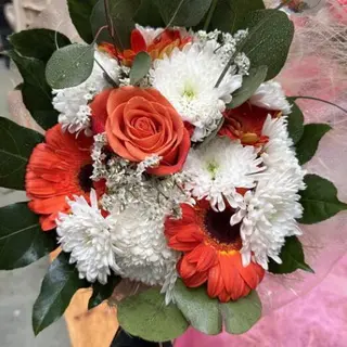 Lady Orange