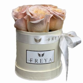 Cutie 5 trandafiri Sheemar