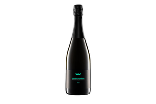 Franciacorta brut in bottiglia 75 cl