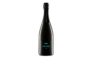 Franciacorta brut in bottiglia 75 cl