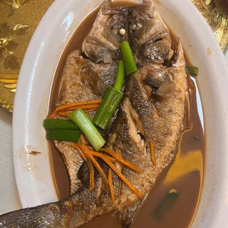 Pesce spigola stufata（红烧spigola）