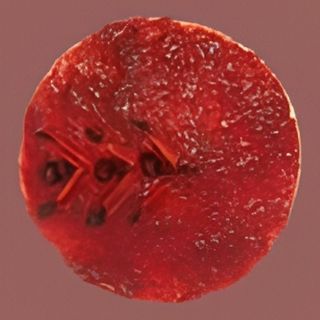 Cheseecake torta od sira 2.4 kg