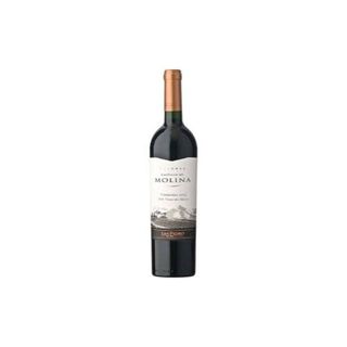 Carmenere Castillo De Molina (0,75л)