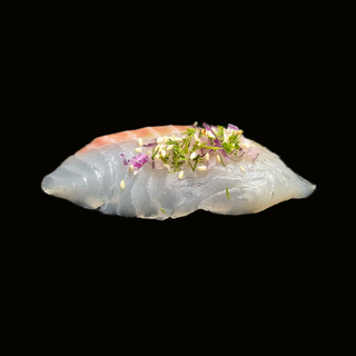 Sashimi Dorada 