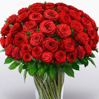 101 roses  for special  women 
