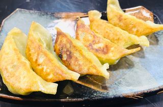 YAKIGYOZA VEGETAL 6U 