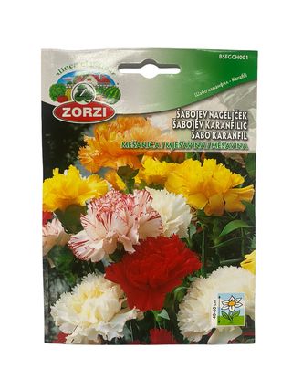 Sjeme cvijeća Šabo karanfil