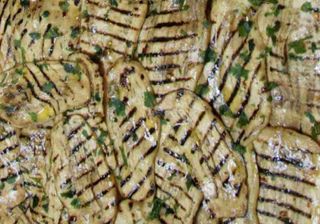 (T) Melanzane Grigliate