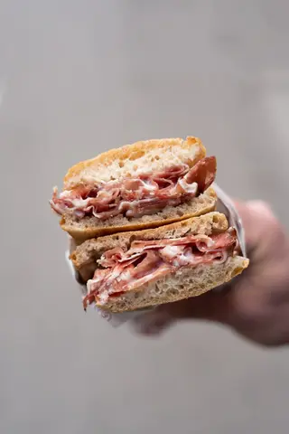 Il punico