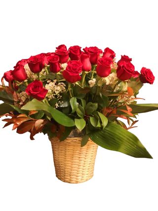 ROSE ROSSE  IN CESTO 