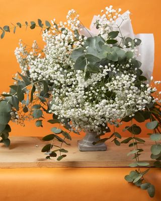 Ramo de Paniculata y Eucalipto