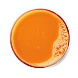 Jus De Carotte Gingembre