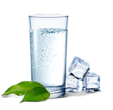 Вода с газом  (1 л.)