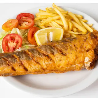 Fish
