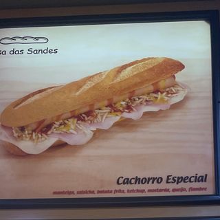 Cachorro Especial