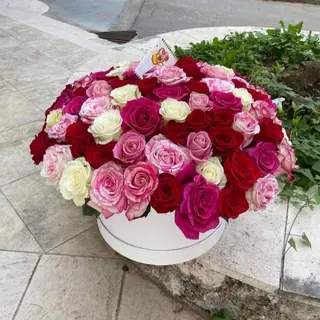 Box Valentinovo 10