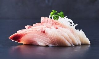 Sashimi Kingfish