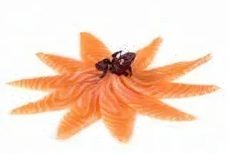 N.8 Carpaccio di salmone 8 pezzi