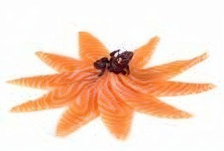 N.8 Carpaccio di salmone 8 pezzi