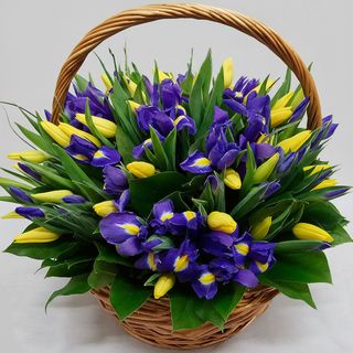 Кошик 25 жовтих тюльпанів з ірисами