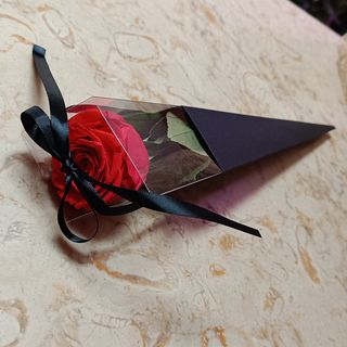 Rosa natural Equador