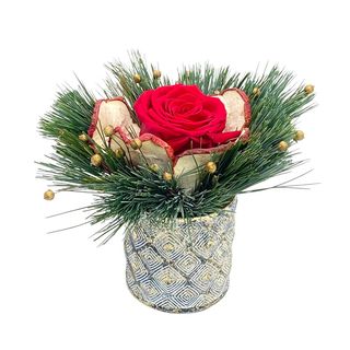 Trandafir roșu și pin