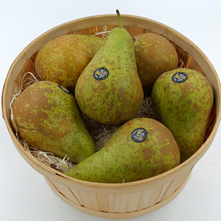 PERA CONFERENCIA UNIDAD (190 GR APROX. ORIGEN:ESPAÑA