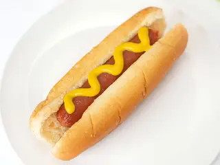Perro de carne