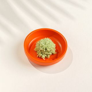 Wasabi 15g