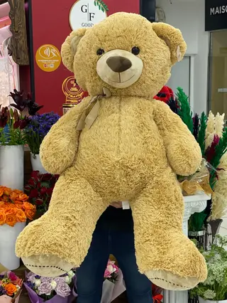 Peluche 