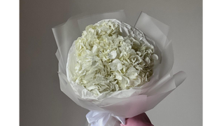 Bukiet 3 białych hortensji