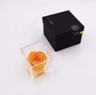 Rosa stabilizzata arancio M