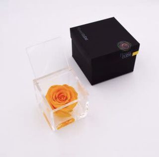 Rosa stabilizzata arancio M