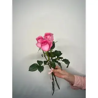 Różowa Róża 50 cm, 3 szt