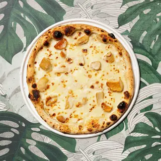 Ai porcini