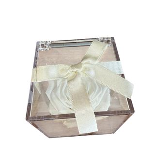 Rosa preservada blanca