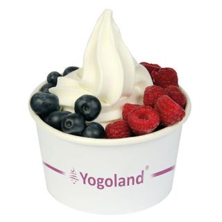 Deser z jogurtu mrożonego 300g
