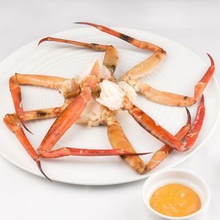 Cuerpos Y Bocas De Mar Xl