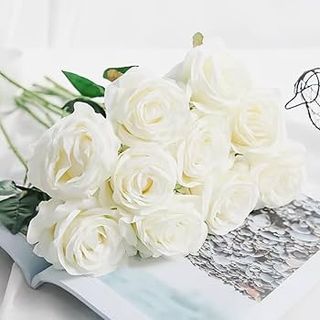 10 Rose bianche